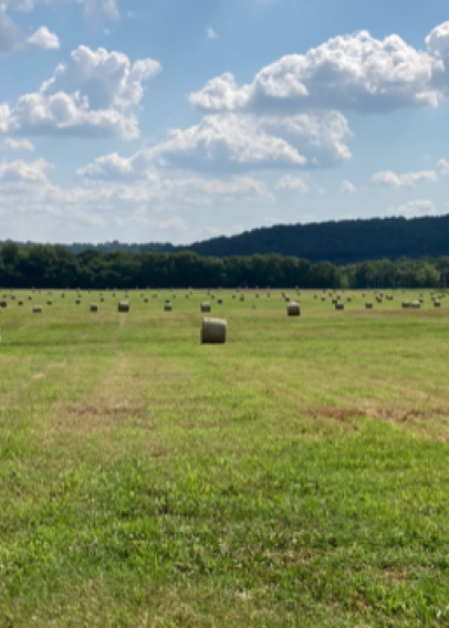 Green field with hay bales and blue cloudy skies